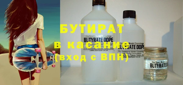 дмт Бородино