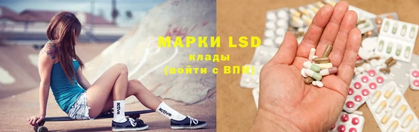 дмт Бородино