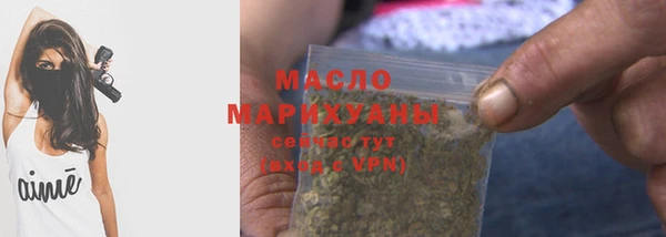 дмт Бородино
