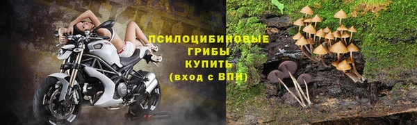 дмт Бородино