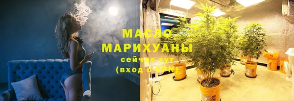 дмт Богородск