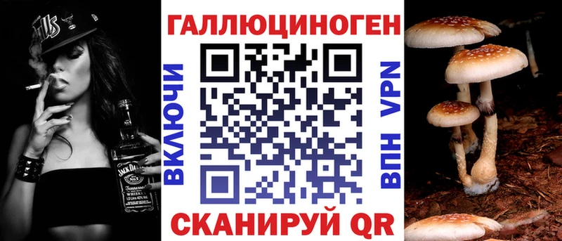 Купить Нюрба Псилоцибиновые грибы мицелий
